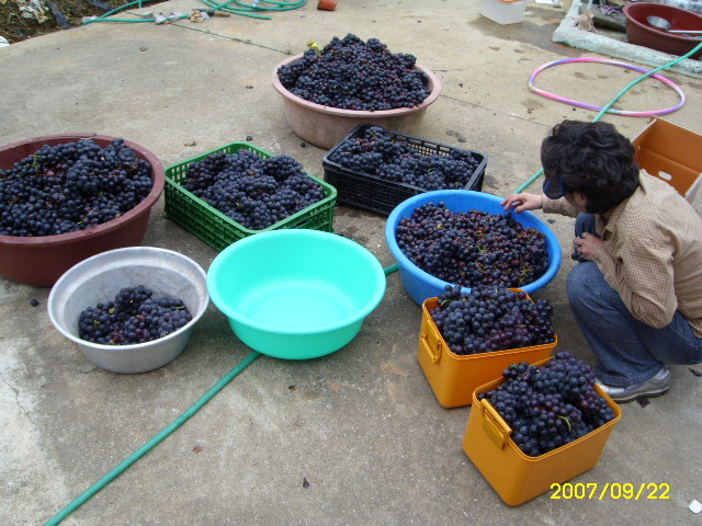 이미지를 클릭하면 원본을 보실 수 있습니다.