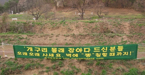 이미지를 클릭하면 원본을 보실 수 있습니다.