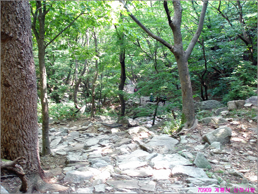 이미지를 클릭하면 원본을 보실 수 있습니다.