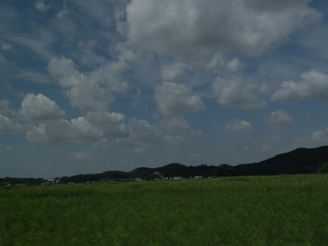 이미지를 클릭하면 원본을 보실 수 있습니다.