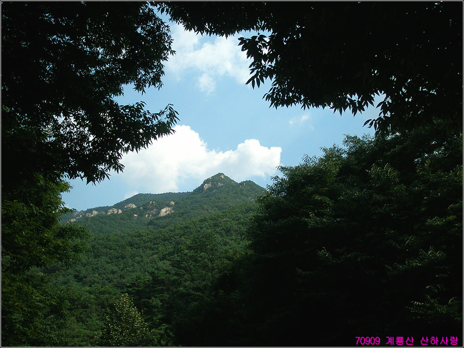 이미지를 클릭하면 원본을 보실 수 있습니다.