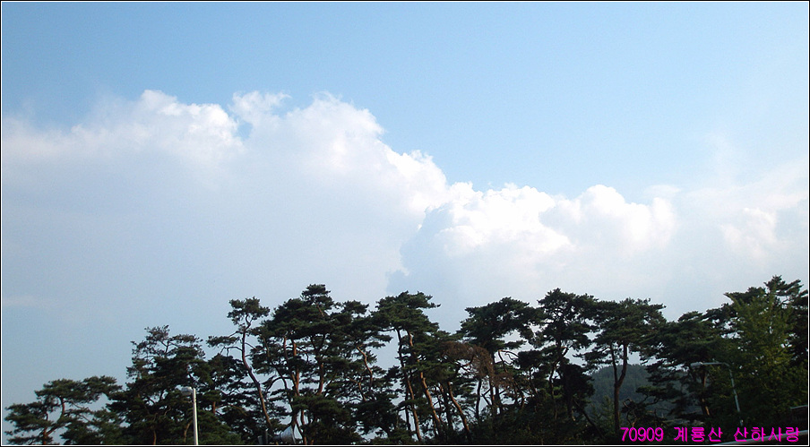 이미지를 클릭하면 원본을 보실 수 있습니다.