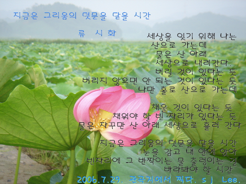 이미지를 클릭하면 원본을 보실 수 있습니다.