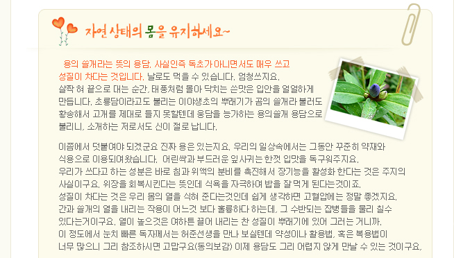 이미지를 클릭하면 원본을 보실 수 있습니다.