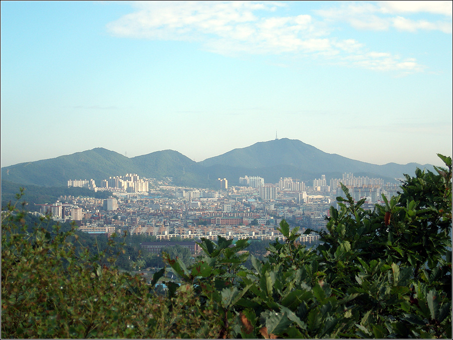 이미지를 클릭하면 원본을 보실 수 있습니다.