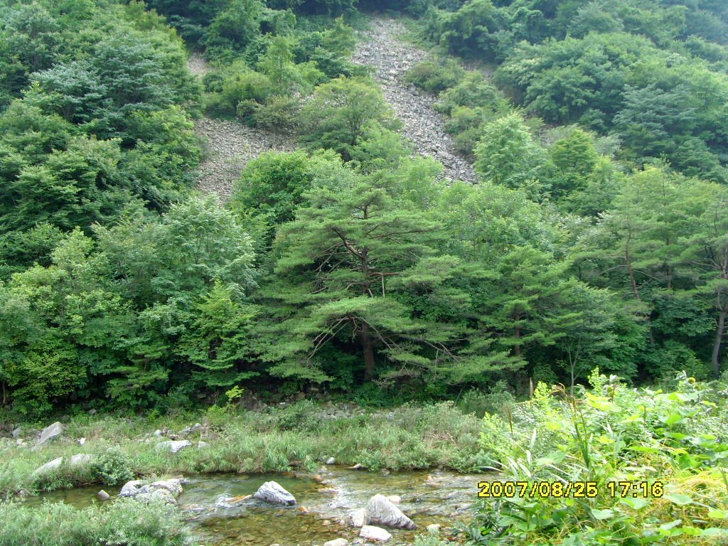 이미지를 클릭하면 원본을 보실 수 있습니다.