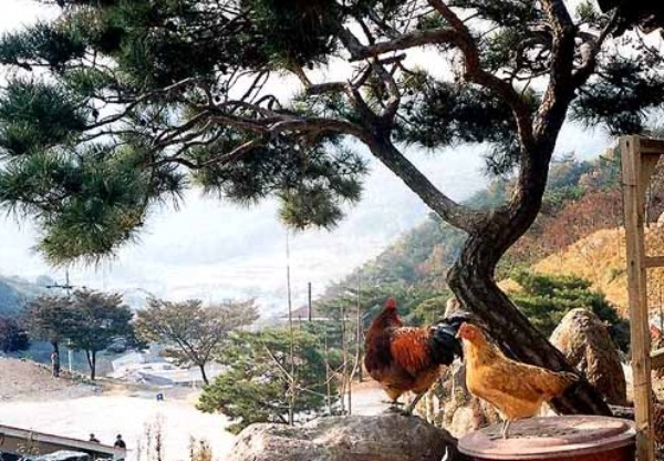 이미지를 클릭하면 원본을 보실 수 있습니다.