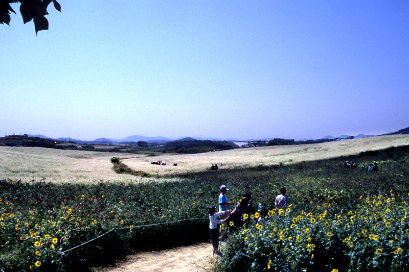 이미지를 클릭하면 원본을 보실 수 있습니다.