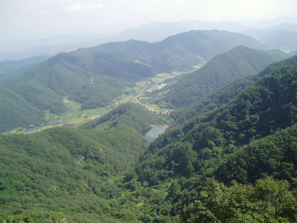 이미지를 클릭하면 원본을 보실 수 있습니다.