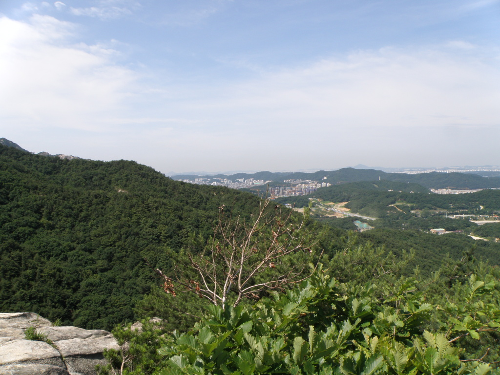 이미지를 클릭하면 원본을 보실 수 있습니다.