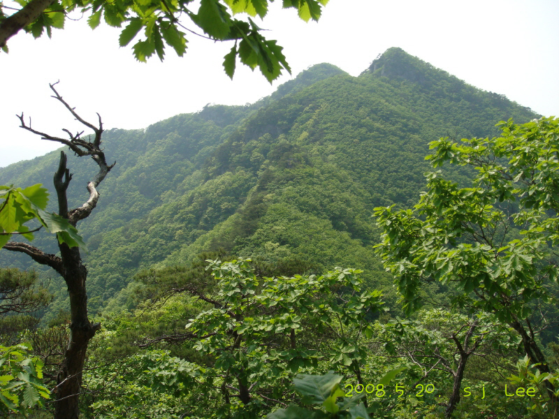 이미지를 클릭하면 원본을 보실 수 있습니다.