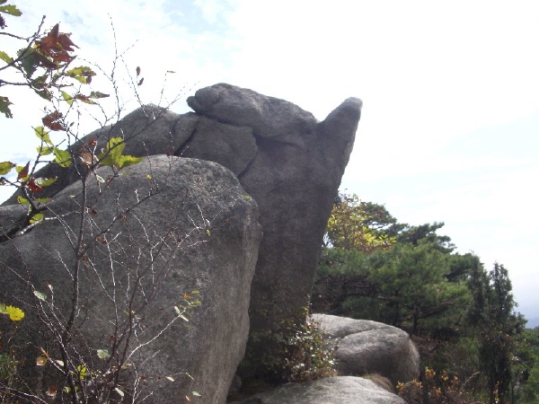 이미지를 클릭하면 원본을 보실 수 있습니다.