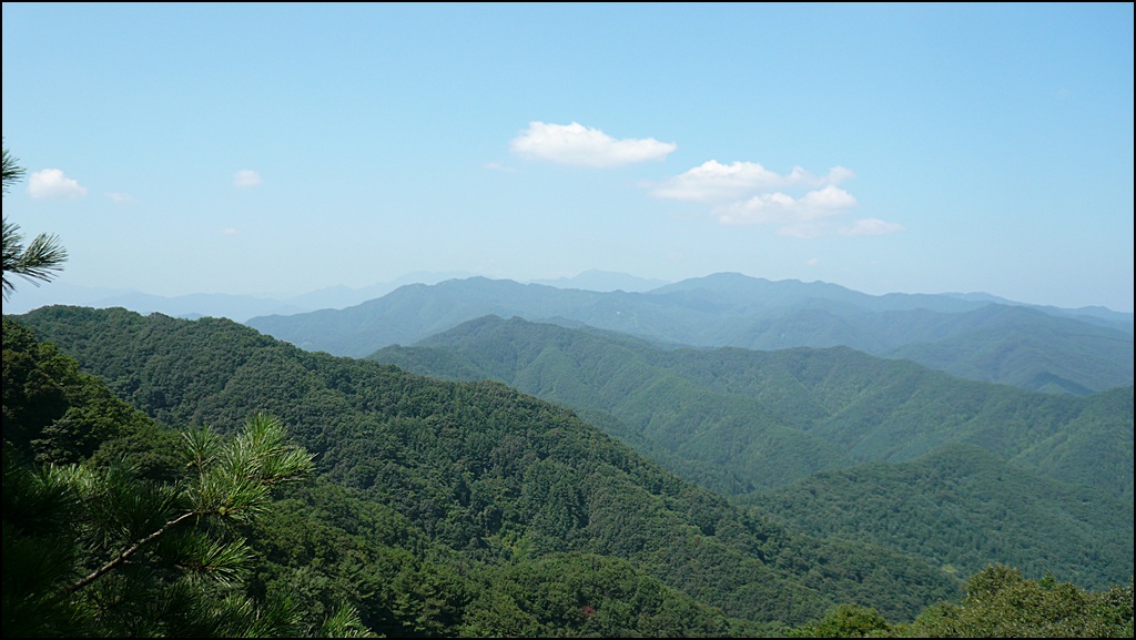 이미지를 클릭하면 원본을 보실 수 있습니다.