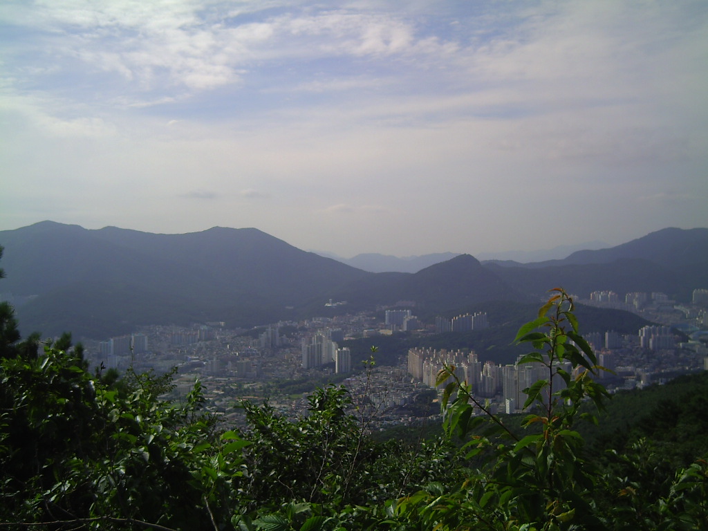 이미지를 클릭하면 원본을 보실 수 있습니다.