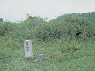 이미지를 클릭하면 원본을 보실 수 있습니다.
