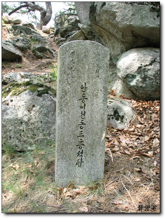 이미지를 클릭하면 원본을 보실 수 있습니다.