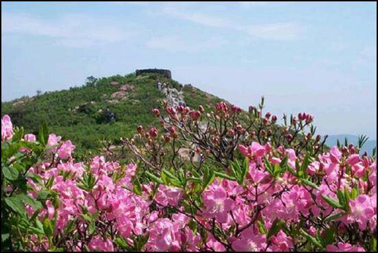 이미지를 클릭하면 원본을 보실 수 있습니다.