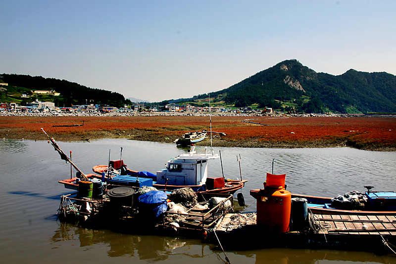 이미지를 클릭하면 원본을 보실 수 있습니다.