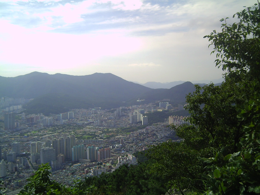 이미지를 클릭하면 원본을 보실 수 있습니다.