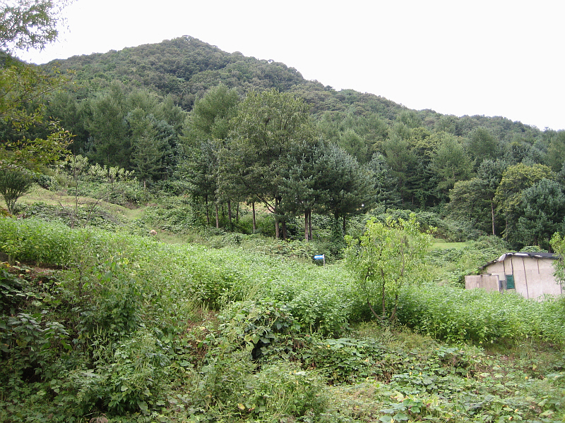이미지를 클릭하면 원본을 보실 수 있습니다.