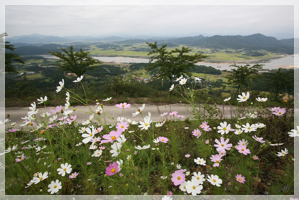 이미지를 클릭하면 원본을 보실 수 있습니다.