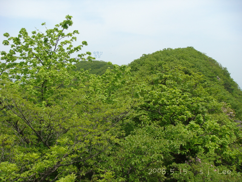 이미지를 클릭하면 원본을 보실 수 있습니다.