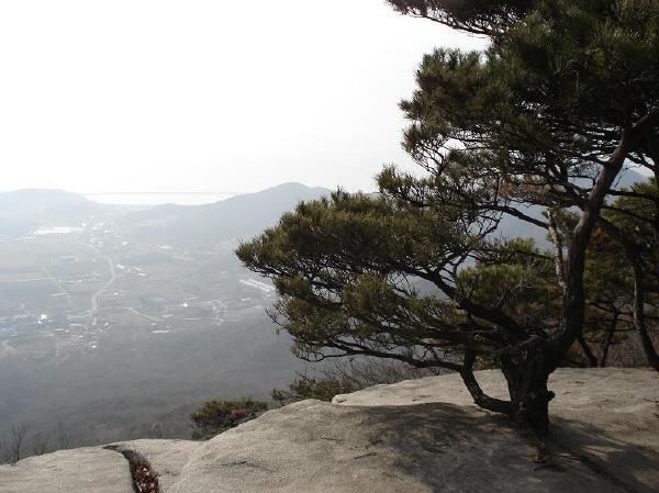 이미지를 클릭하면 원본을 보실 수 있습니다.