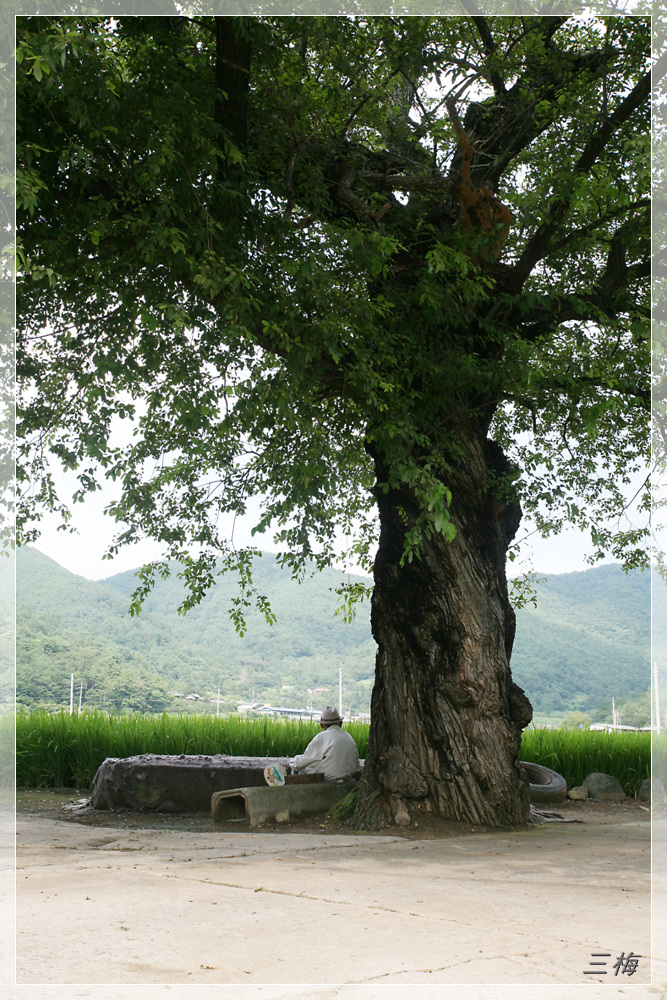 이미지를 클릭하면 원본을 보실 수 있습니다.