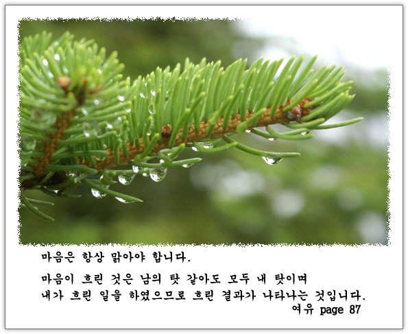 이미지를 클릭하면 원본을 보실 수 있습니다.