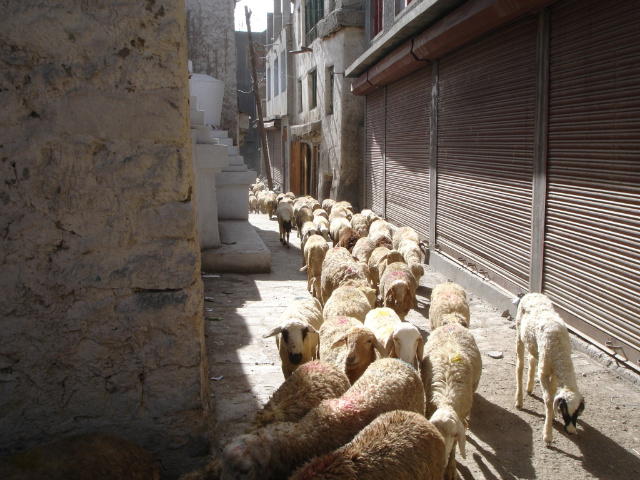 이미지를 클릭하면 원본을 보실 수 있습니다.