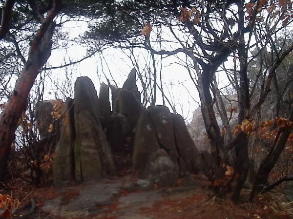 이미지를 클릭하면 원본을 보실 수 있습니다.