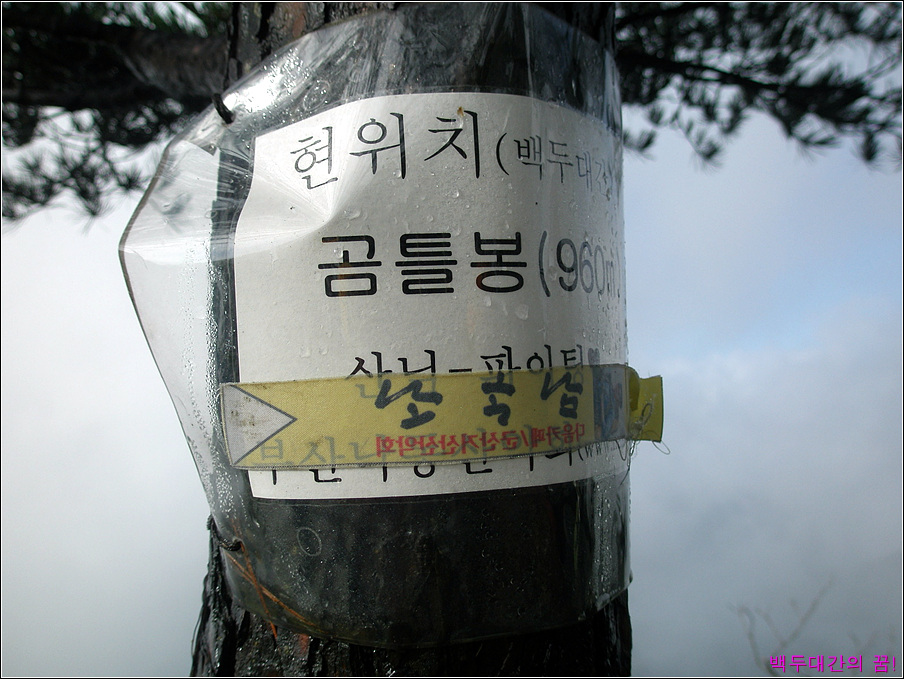 이미지를 클릭하면 원본을 보실 수 있습니다.