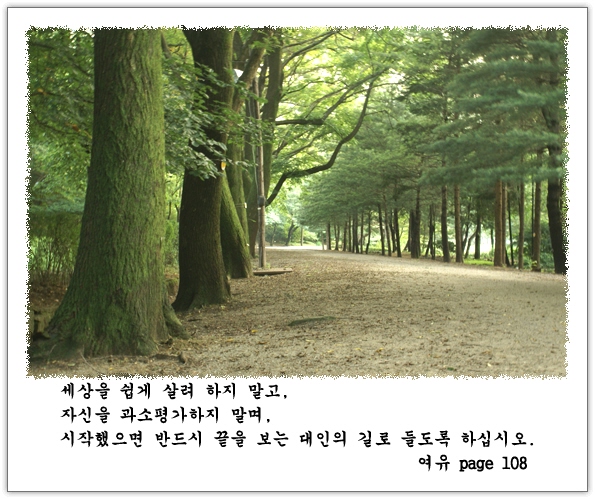 이미지를 클릭하면 원본을 보실 수 있습니다.