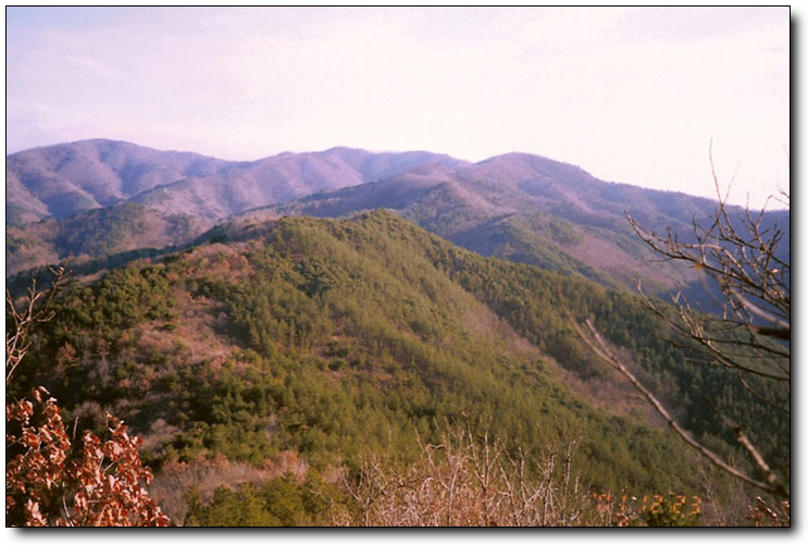 이미지를 클릭하면 원본을 보실 수 있습니다.