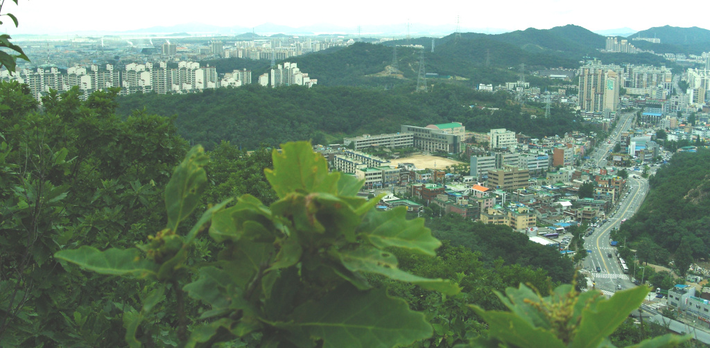 이미지를 클릭하면 원본을 보실 수 있습니다.