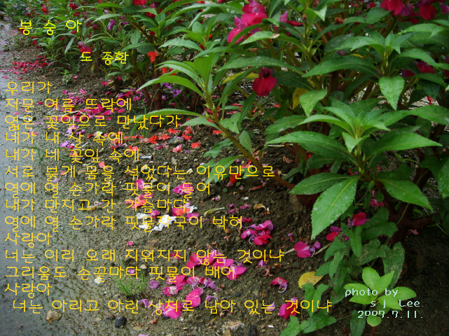 이미지를 클릭하면 원본을 보실 수 있습니다.