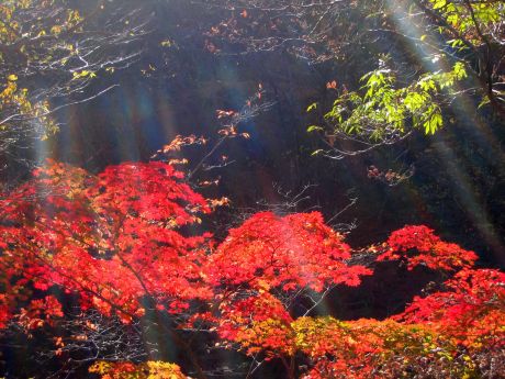 이미지를 클릭하면 원본을 보실 수 있습니다.