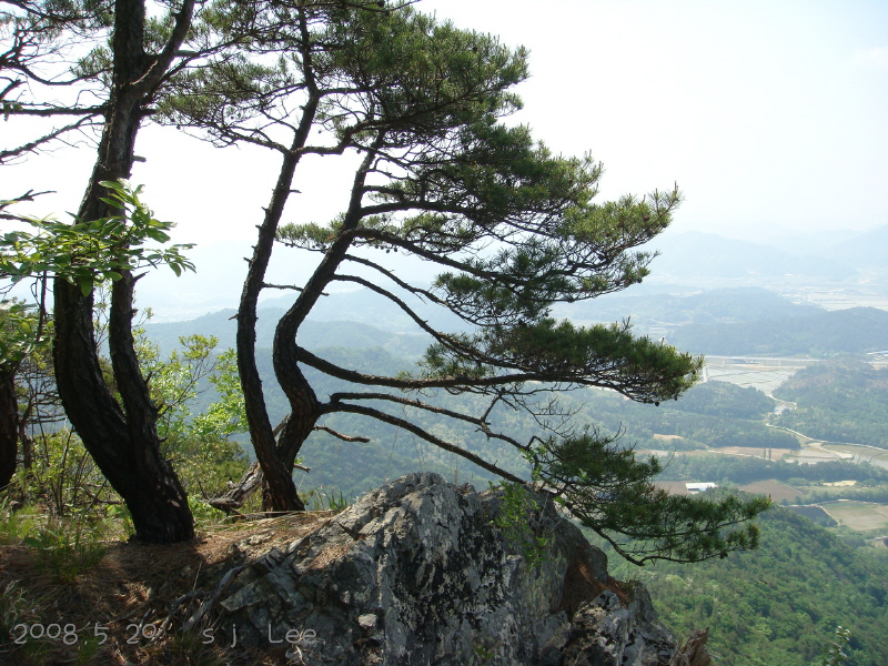 이미지를 클릭하면 원본을 보실 수 있습니다.