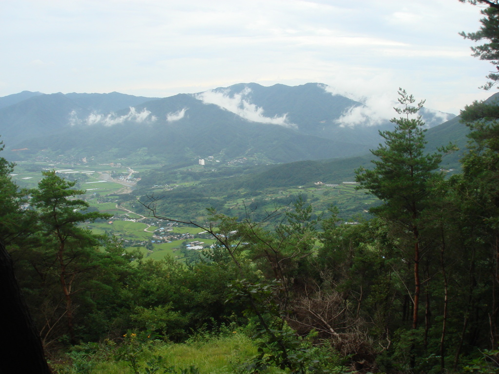 이미지를 클릭하면 원본을 보실 수 있습니다.
