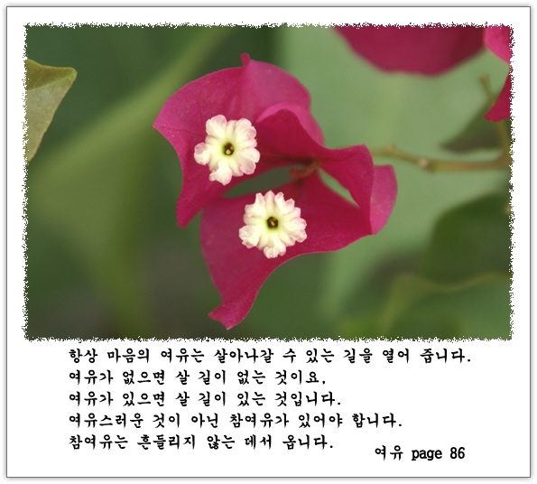 이미지를 클릭하면 원본을 보실 수 있습니다.