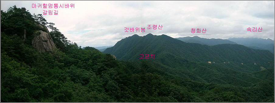 이미지를 클릭하면 원본을 보실 수 있습니다.