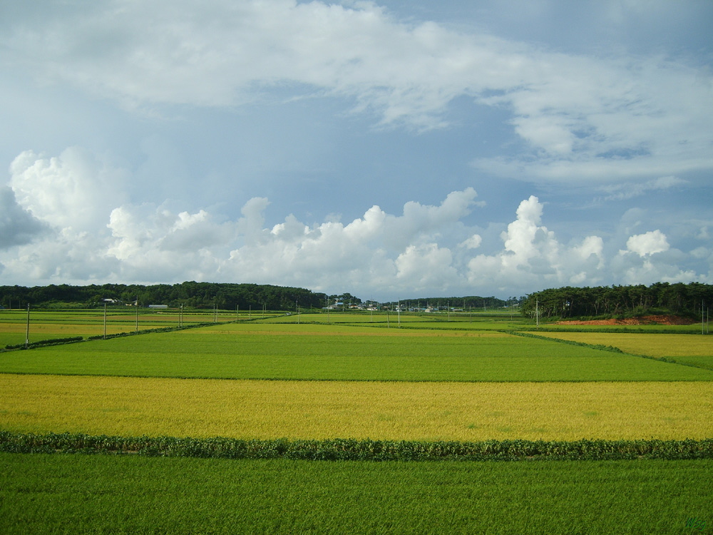 송운 사랑방 (Song Woon Art Hall)