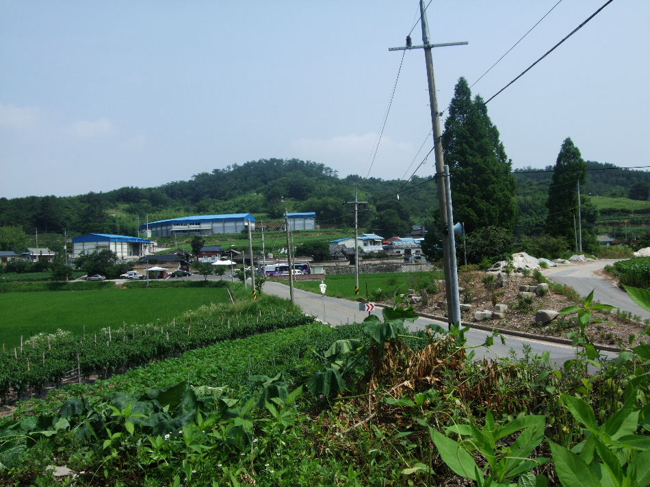 이미지를 클릭하면 원본을 보실 수 있습니다.