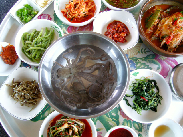 황금소나무.