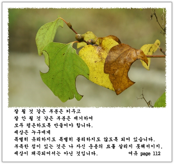 이미지를 클릭하면 원본을 보실 수 있습니다.