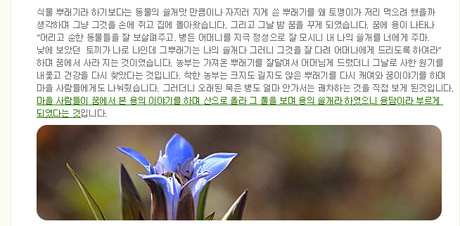 이미지를 클릭하면 원본을 보실 수 있습니다.