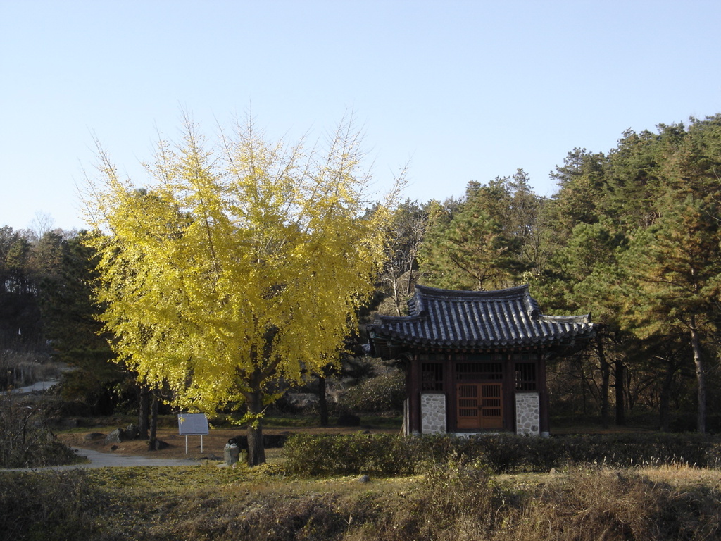 이미지를 클릭하면 원본을 보실 수 있습니다.