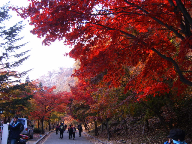 이미지를 클릭하면 원본을 보실 수 있습니다.