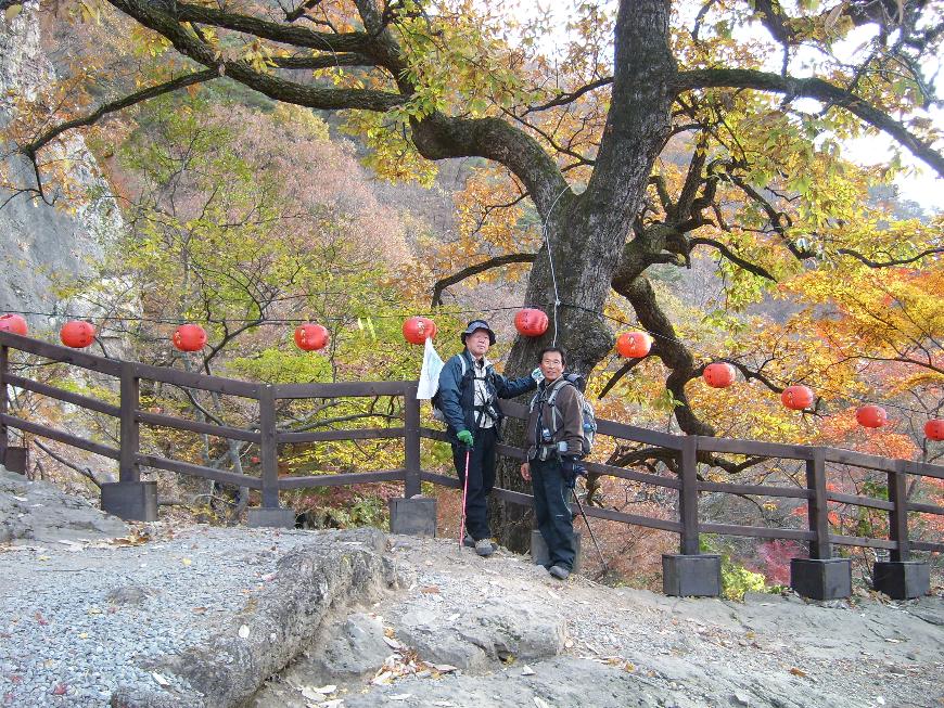 이미지를 클릭하면 원본을 보실 수 있습니다.