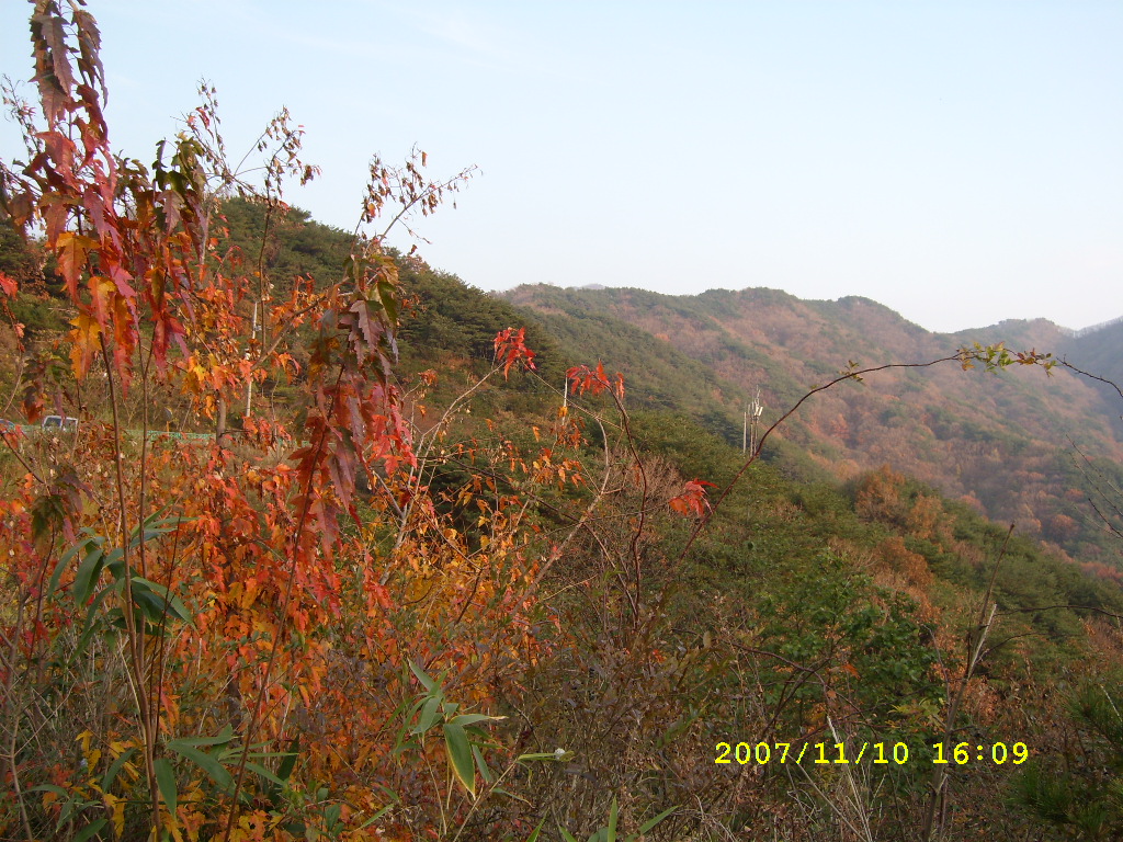 이미지를 클릭하면 원본을 보실 수 있습니다.